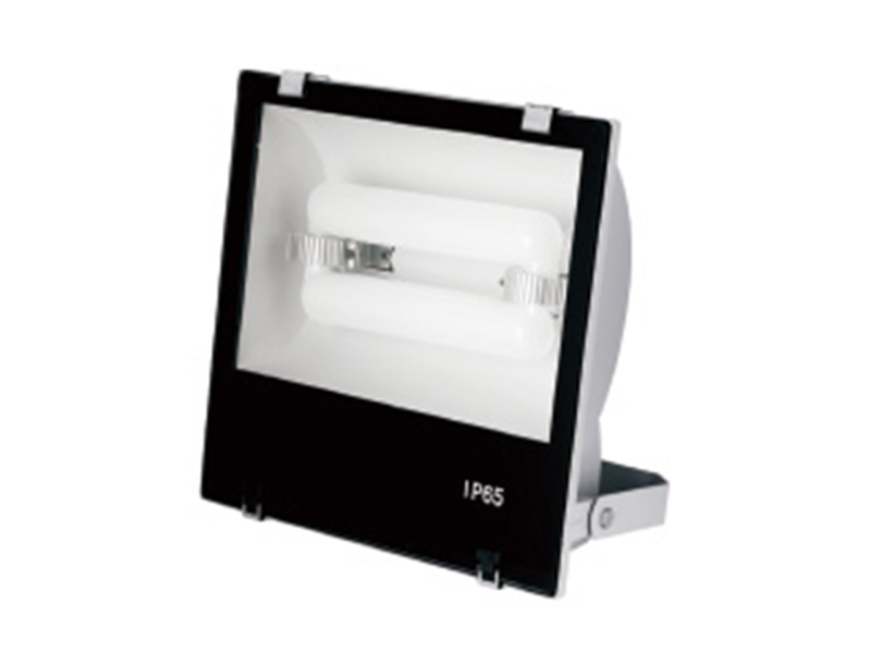 Flood Lamp TGS018