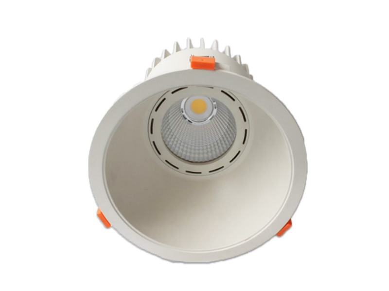 80W 20 cm Downlights